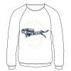 Lightweight raglan sweatshirt Thumbnail